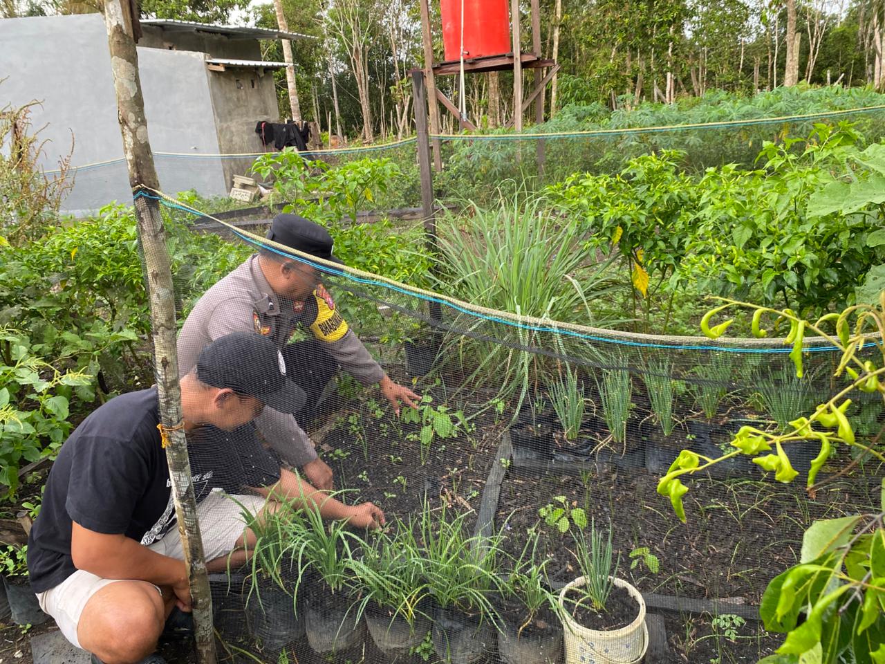 Bhabinkamtibmas Wujudkan Asta Cita melalui Penguatan Ketahanan Pangan